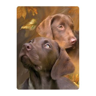 Obrázek z Pohlednice 3D 16cm - hnědý labrador (25) 